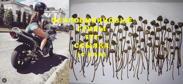 mdpv Покровск