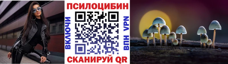 Купить  Санкт-Петербург  Псилоцибиновые грибы GOLDEN TEACHER 